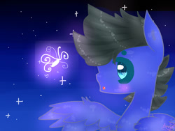 Size: 1024x768 | Tagged: safe, artist:magicangelstarartist, derpibooru import, firefly, oc, oc only, pegasus, pony, g1, male, solo, spread wings, stallion, starry background, wings