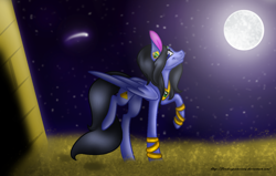 Size: 1344x854 | Tagged: safe, artist:firedragonmoon15, derpibooru import, oc, pegasus, pony, black mane, black tail, cutie mark, folded wings, full moon, looking at you, moon, night, night sky, purple coat, purple eyes, raised hoof, raised leg, shooting star, sky, smiling, solo, tail, wings