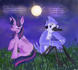 Size: 2800x2500 | Tagged: safe, artist:raventhelemon, derpibooru import, twilight sparkle, twilight sparkle (alicorn), alicorn, bird, blue jay, pony, airplanes (song), crossover, crossover shipping, duo, female, grass, male, moon, mordecai, mordetwi, night, regular show, shipping, straight