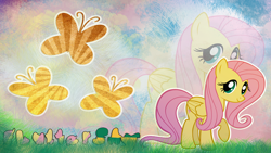 Size: 2560x1440 | Tagged: safe, artist:skrayp, derpibooru import, fluttershy, pegasus, pony, abstract background, cloud, cutie mark, female, grass, looking at you, mare, name, raised hoof, raised leg, sky, smiling, smiling at you, solo, wallpaper