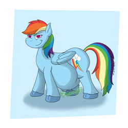 Size: 2500x2500 | Tagged: safe, artist:xyclone, derpibooru import, rainbow dash, pegasus, belly, chubby, female, signature, simple background, solo, stomach noise, transparent background