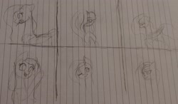 Size: 2929x1705 | Tagged: safe, artist:those kids in the corner, derpibooru import, fluttershy, annoyed, expressions, facial expressions, flirting, flower, happy, one eye closed, practice drawing, rose, sad, style practice, traditional art, wings, wink