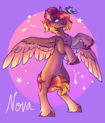 Size: 750x881 | Tagged: safe, artist:shorkerzzz, derpibooru import, oc, oc only, oc:nova, butterfly, pegasus, pony, chest fluff, colored wings, colored wingtips, eyebrows, eyebrows visible through hair, rearing, solo, spread wings, two toned wings, unshorn fetlocks, wings