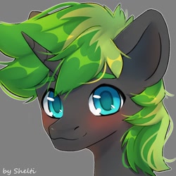 Size: 1000x1000 | Tagged: safe, artist:shelti, derpibooru import, oc, oc only, pony, unicorn, bust, colored pupils, commission, horn, male, simple background, smiling, solo, stallion