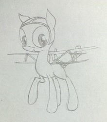 Size: 876x996 | Tagged: artist needed, safe, derpibooru import, oc, oc only, original species, plane pony, aac seastar, biplane, happy, looking at you, plane, seaplane, smiling, solo, standing, traditional art