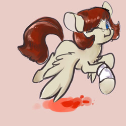 Size: 560x559 | Tagged: safe, artist:wolvierland, derpibooru import, oc, pegasus, bandage, blood, injured, solo