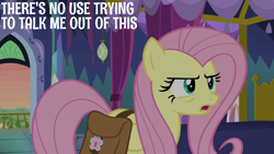 Size: 1920x1080 | Tagged: safe, derpibooru import, edit, edited screencap, editor:quoterific, screencap, fluttershy, a health of information, bag, saddle bag, solo, twilight's castle