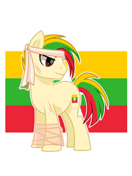 Size: 720x960 | Tagged: safe, artist:diniarvegafinahar, derpibooru import, earth pony, pony, burma, flag, headband, male, myanmar, nation ponies, ponified, scar, simple background, solo, species swap, stallion, stars, white background