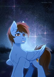 Size: 2480x3507 | Tagged: safe, artist:fenwaru, derpibooru import, oc, oc only, pegasus, pony, solo