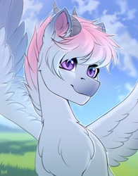 Size: 2000x2550 | Tagged: safe, artist:hakaina, derpibooru import, oc, oc only, pony, chest fluff, ear fluff, ears, solo