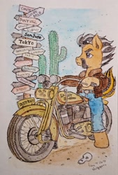 Size: 1387x2048 | Tagged: safe, artist:daisymane, derpibooru import, oc, oc only, oc:dusty katt, earth pony, pony, bipedal, cactus, motorcycle, road sign, solo, traditional art