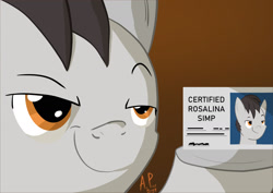 Size: 1754x1240 | Tagged: safe, artist:ace play, artist:mrkat7214, derpibooru import, oc, oc only, earth pony, pony, card, commission, dexterous hooves, emperor's new groove, hoof hold, license card, male, meme, smug, solo