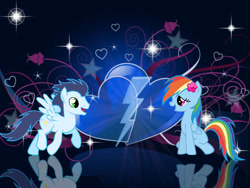 Size: 600x450 | Tagged: safe, artist:loobie1998, derpibooru import, rainbow dash, soarin', pony, female, flower, flower in hair, male, mare, shipping, soarindash, stallion, straight, wallpaper