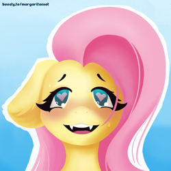 Size: 2000x2000 | Tagged: safe, artist:margaritaenot, derpibooru import, fluttershy, pegasus, pony, blue background, blushing, bust, cute, cute little fangs, fangs, gradient background, heart, heart eyes, horny, portrait, shyabetes, simple background, solo, wingding eyes