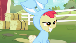 Size: 1280x720 | Tagged: safe, derpibooru import, screencap, apple bloom, earth pony, pony, family appreciation day, animal costume, bunny bloom, bunny costume, clothes, costume, female, fence, filly, foal, hay bale, lidded eyes, out of context, smiling, solo