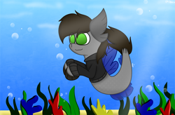 Size: 3960x2604 | Tagged: safe, artist:nhale, derpibooru import, oc, oc:razor uniboop, hippogriff, hybrid, merpony, seapony (g4), bubble, clothes, coral, dorsal fin, fin, fin wings, fins, fish tail, green eyes, happy, ocean, seaweed, solo, swimming, tail, underwater, water, wings