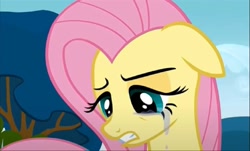 Size: 1082x655 | Tagged: safe, derpibooru import, screencap, fluttershy, pegasus, pony, hurricane fluttershy, crying, ears, female, floppy ears, fluttercry, mare, solo