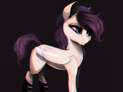 Size: 2828x2121 | Tagged: safe, artist:minckies, derpibooru import, oc, oc only, pegasus, pony, black background, hat, pegasus oc, simple background, solo, wings