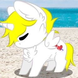 Size: 640x640 | Tagged: safe, artist:andreza, derpibooru import, oc, oc only, oc:kionagdl, alicorn, pony, beach, chest fluff, solo