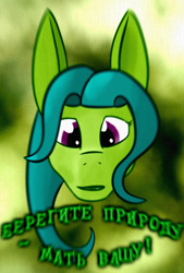 Size: 448x664 | Tagged: safe, artist:kujivunia, derpibooru import, edit, oc, oc only, earth pony, abstract background, big ears, bust, cyrillic, dryad, ears, earth pony oc, green background, head only, looking at you, portrait, poster, russian, simple background, solo