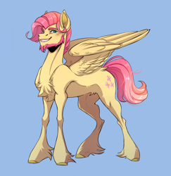 Size: 1894x1945 | Tagged: safe, artist:1an1, derpibooru import, butterscotch, fluttershy, pegasus, pony, chest fluff, curly hair, curly mane, ears, facial hair, feather, feathered wings, fetlock tuft, goatee, hooves, looking at you, male, nostrils, pegasus wings, redraw, rule 63, short mane, smiling, snout, solo, sternocleidomastoid, tail, thin legs, wings