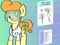 Size: 1280x960 | Tagged: safe, artist:greenhoof, derpibooru import, carrot top, golden harvest, earth pony, pony, abstract background, carrot, chinese, clothes, dna, female, food, goggles, lab coat, mare, scientist, solo