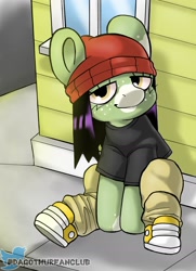 Size: 1280x1765 | Tagged: safe, artist:dagothurfanclub, derpibooru import, oc, oc only, oc:caldwell, pony, beanie, female, hat, solo