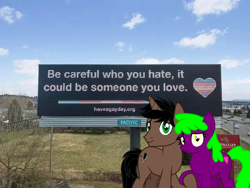 Size: 720x542 | Tagged: safe, artist:luckreza8, derpibooru import, oc, oc:dark driveology, oc:rose love, pony, duo, irl, ohio, photo, ponies in real life, pride, pride flag, transgender, transgender pride flag, united states