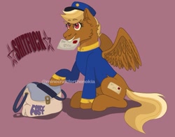 Size: 917x719 | Tagged: safe, artist:minecraftforthenokia, derpibooru import, pegasus, pony, bag, blonde, clothes, female, forced meme, hat, letter, mare, mouth hold, raised hoof, raised leg, red background, red eyes, shitfuck meme, signature, simple background, sitting, smiling, spread wings, stars, swift reply, text, uniform, vulgar, wings