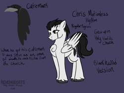 Size: 2160x1620 | Tagged: safe, artist:revenge.cats, derpibooru import, pegasus, pony, chest fluff, chris cerulli, cutie mark, motionless in white, ponified, reference sheet, simple background, solo, species swap