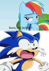 Size: 744x1080 | Tagged: safe, derpibooru import, screencap, rainbow dash, hedgehog, pegasus, female, lesbian, low effort, needs more jpeg, reaction image, sonic the hedgehog, sonic the hedgehog (series)