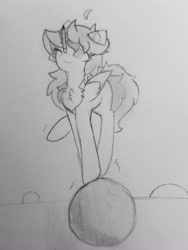 Size: 2749x3665 | Tagged: safe, artist:sodapop sprays, derpibooru import, oc, oc:mystery sprays, pegasus, balancing, pencil, pencil drawing, solo, traditional art