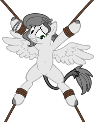 Size: 3533x4464 | Tagged: safe, artist:equestria secret guard, derpibooru import, oc, oc only, oc:tabata, pegasus, pony, armpits, belly, belly button, bondage, featureless crotch, female, helpless, lying down, mare, medibang paint, not pipp petals, pegasus oc, ribbon, rope, rope bondage, ropes, sexy, show accurate, simple background, solo, spread eagle, spread legs, spread wings, spreading, tied up, transparent background, wings