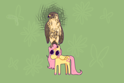 Size: 1500x1000 | Tagged: safe, artist:mokeonn, derpibooru import, fluttershy, bird, hawk, pegasus, pony, big eyes, duo, sitting on head