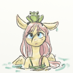 Size: 1056x1056 | Tagged: safe, artist:kovoranu, derpibooru import, fluttershy, frog, pegasus, pony, female, mare, solo