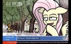 Size: 800x500 | Tagged: safe, alternate version, derpibooru import, fluttershy, pegasus, pony, cctv, chinese meme, female, interview, mare, meme, news, solo focus, translation, tree