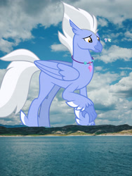 Size: 3024x4032 | Tagged: safe, artist:cloudy glow, artist:jhayarr23, artist:starryshineviolet, derpibooru import, edit, editor:jaredking779, silverstream, sky beak, terramar, classical hippogriff, hippogriff, father and child, father and daughter, father and son, feathered fetlocks, female, high res, highrise ponies, irl, jewelry, macro, male, mountain, mountain range, necklace, parent and child, photo, ponies in real life, raised claw, size difference, smiling, story included