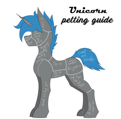 Size: 3918x3840 | Tagged: safe, artist:bydena, derpibooru import, unicorn, anatomy guide, bellyrubs, blue mane, colored, flat colors, horn, implied butt grab, implied hornjob, meme, petting, petting guide, simple, simple background, solo, tail, white background
