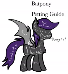 Size: 1401x1521 | Tagged: safe, derpibooru import, bat pony, anatomy guide, colored, flat colors, meme, petting, petting guide, simple background