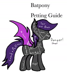 Size: 1414x1548 | Tagged: safe, artist:lostbrony, derpibooru import, bat pony, anatomy guide, colored, flat colors, meme, petting, petting guide, simple background, text