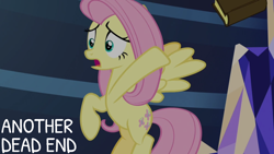 Size: 1920x1080 | Tagged: safe, derpibooru import, edit, edited screencap, editor:quoterific, screencap, fluttershy, a health of information, book, solo, twilight's castle