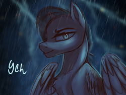 Size: 2160x1620 | Tagged: safe, artist:ondrea, derpibooru import, oc, pony, commission, rain, solo, your character here