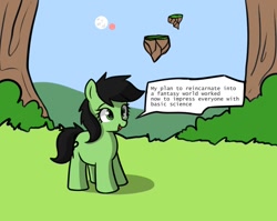 Size: 1058x841 | Tagged: safe, artist:cutelewds, derpibooru import, oc, oc only, oc:anon filly, earth pony, pony, dialogue, female, filly, foal, isekai, solo