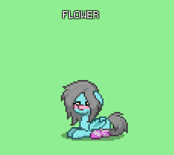 Size: 343x306 | Tagged: safe, derpibooru import, oc, oc only, oc:flower popen, bat pony, pony, robot, blushing, clothes, female, green eyes, mare, pony town, sitting, socks, solo, striped socks