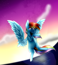 Size: 1700x1900 | Tagged: safe, artist:mynameislele, derpibooru import, rainbow dash, pegasus, pony, eye clipping through hair, partially open wings, solo, sunset, wings