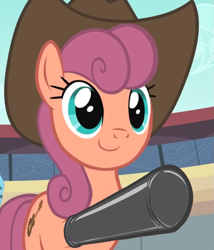 Size: 1231x1440 | Tagged: safe, derpibooru import, edit, edited screencap, editor:anonymous, screencap, wildwood flower, earth pony, pony, the last roundup, /mlp/ latex requests, clothes, cowboy hat, evening gloves, female, gloves, hat, latex, latex gloves, long gloves, looking forward, mare, raised hoof, raised leg, solo