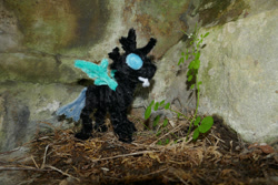 Size: 1024x683 | Tagged: safe, alternate version, artist:malte279, derpibooru import, part of a series, part of a set, changeling, chenille, chenille stems, chenille wire, craft, irl, photo, pipe cleaner sculpture, pipe cleaners, solo