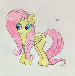 Size: 1453x1478 | Tagged: safe, artist:engi, derpibooru import, fluttershy, pegasus, pony, :c, cute, female, frown, mare, shyabetes, simple background, solo, traditional art, watercolor painting