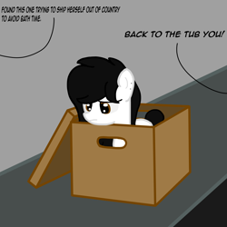 Size: 3000x3000 | Tagged: safe, artist:bright skie, derpibooru import, oc, oc only, oc:bright skie, pony, black mane, box, offscreen character, pony in a box, small, smol, solo