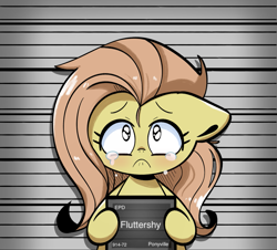 Size: 1321x1196 | Tagged: safe, artist:typhwosion, derpibooru import, part of a set, fluttershy, pegasus, pony, barbie mugshot meme, crying, meme, mugshot, parody, solo